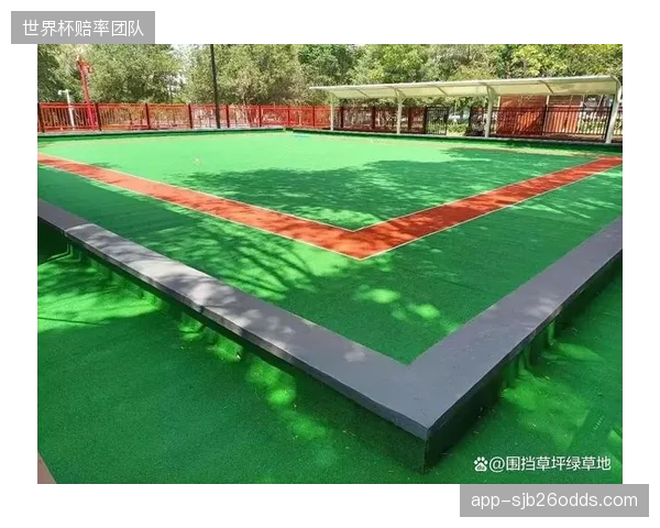 首战比赛场地为人工草坪，澳大利亚需快速适应不同于天然草坪的球速与弹跳。
