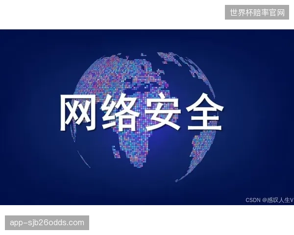 盲目拥抱NDI的开放性，却对潜在的内部网络安全风险缺乏足够评估